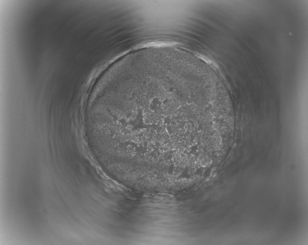 X0000068720337200605121458