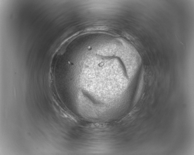 X0000068720338200605121458