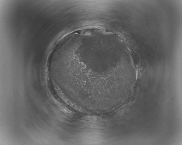 X0000068720339200605121458