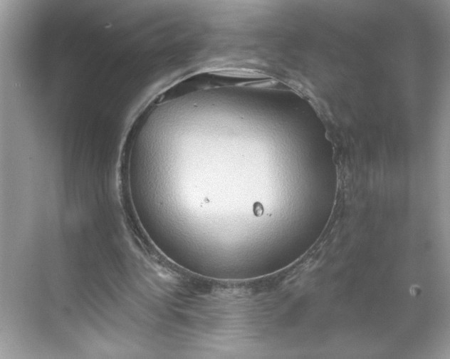 X0000068720340200605121458