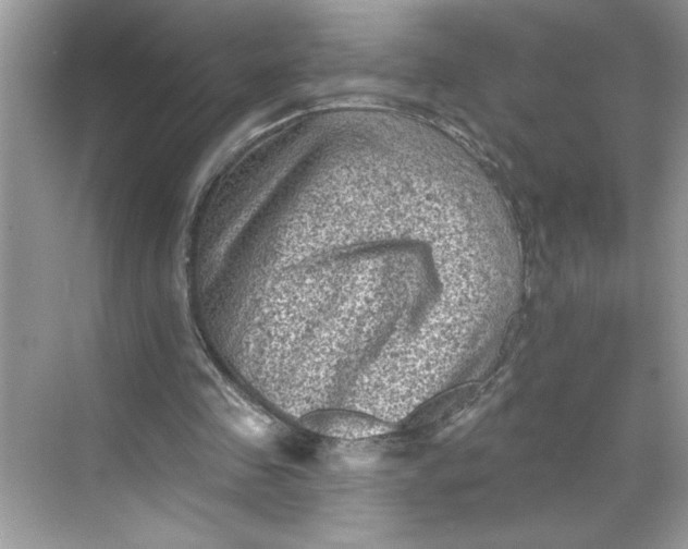 X0000068720341200605121458