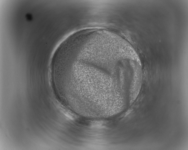 X0000068720342200605121458