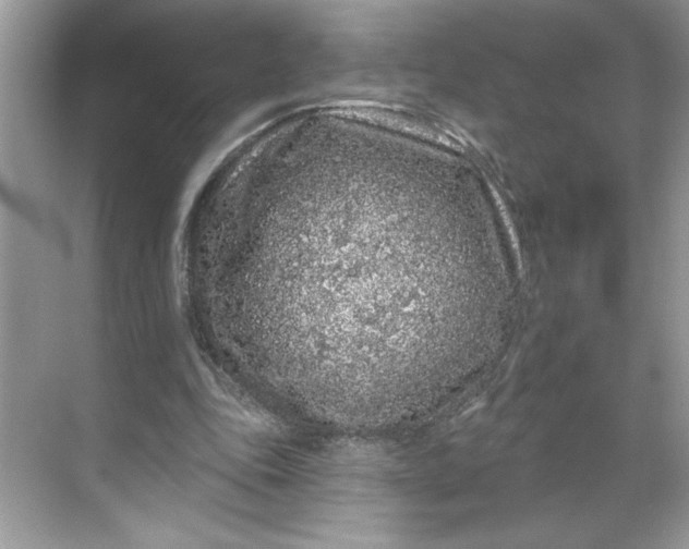 X0000068720343200605121458