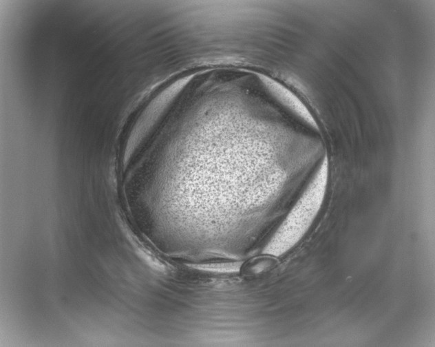 X0000068720345200605121458