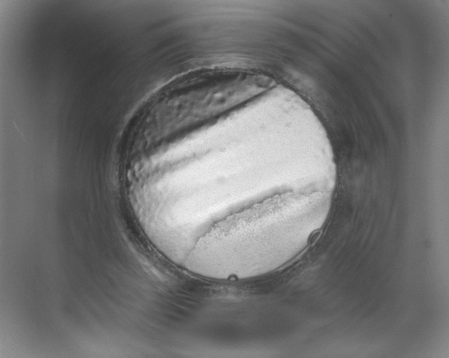 X0000068720347200605121458