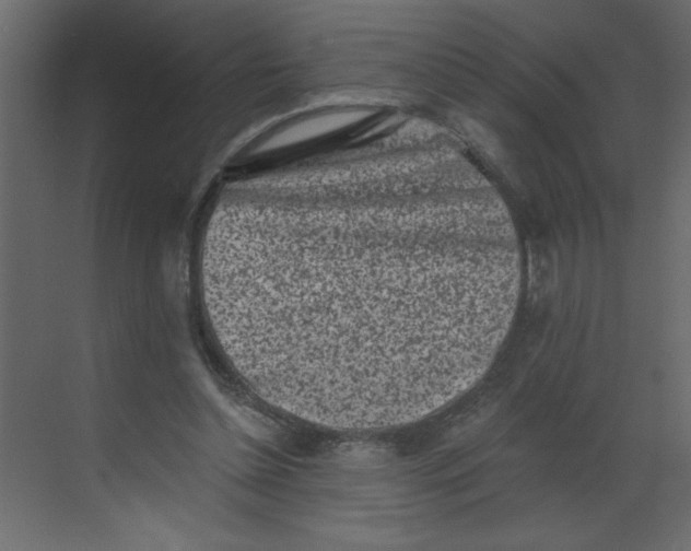 X0000068720348200605121458