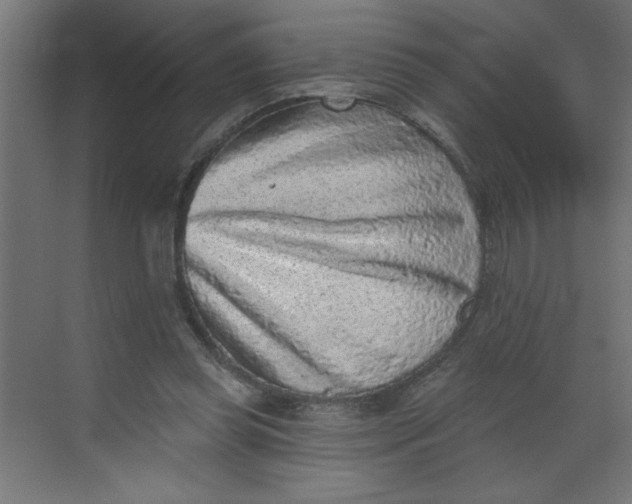 X0000068720349200605121458