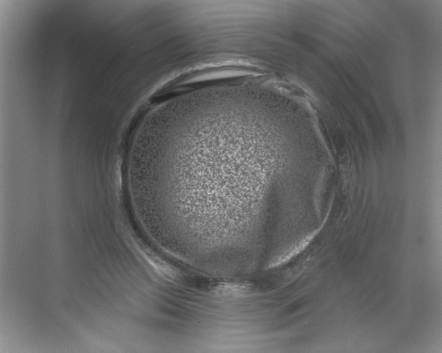 X0000068720350200605121458