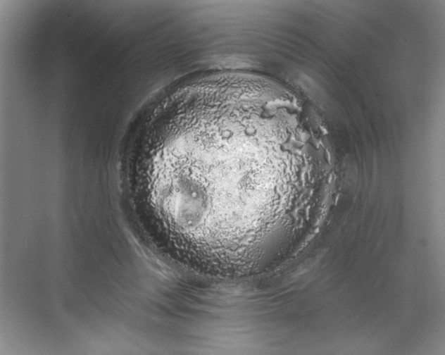 X0000068720351200605121458