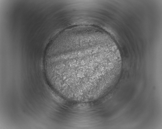 X0000068720353200605121458