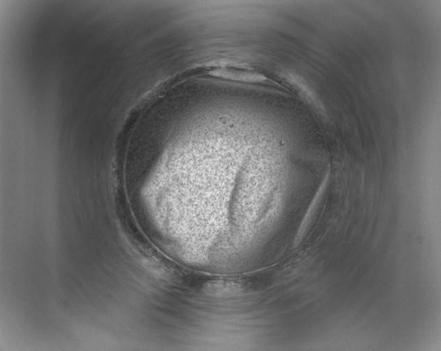 X0000068720354200605121458