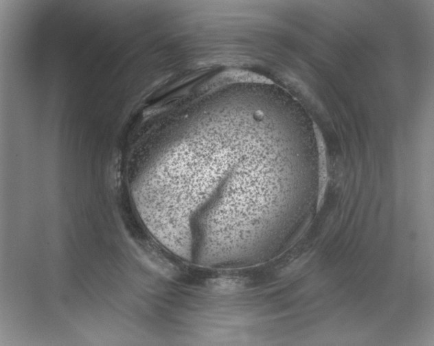 X0000068720356200605121458