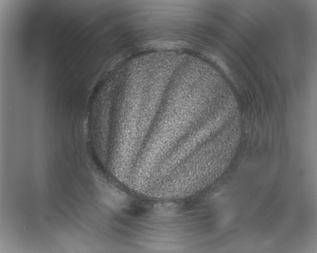 X0000068720357200605121458