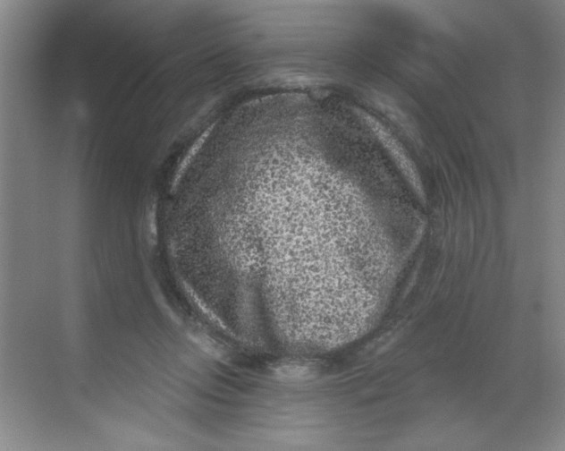 X0000068720358200605121458