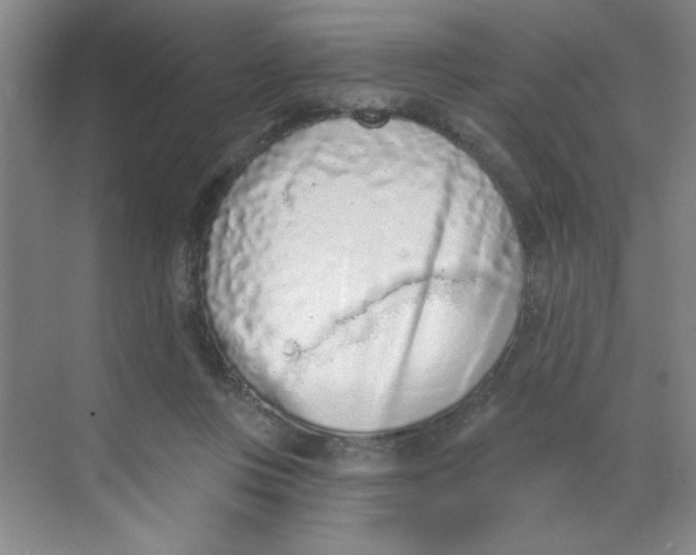 X0000068720359200605121458