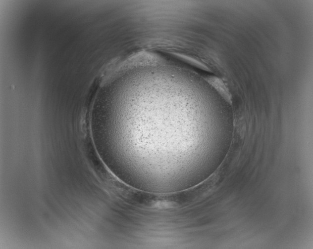 X0000068720360200605121458