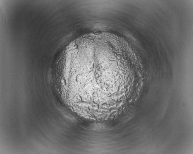 X0000068720361200605121458