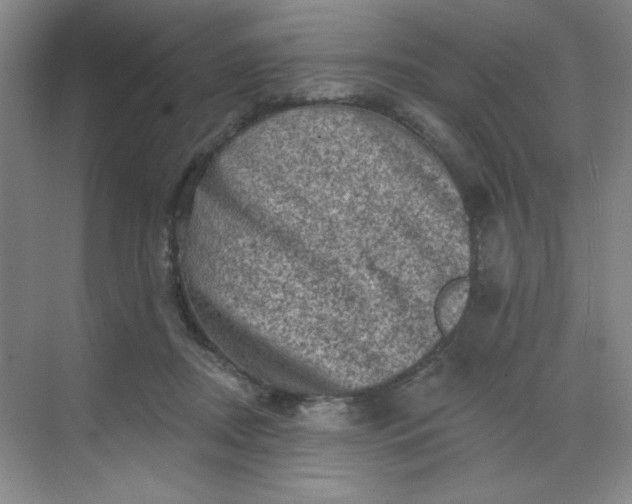 X0000068720362200605121458