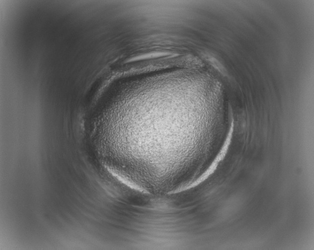 X0000068720363200605121458