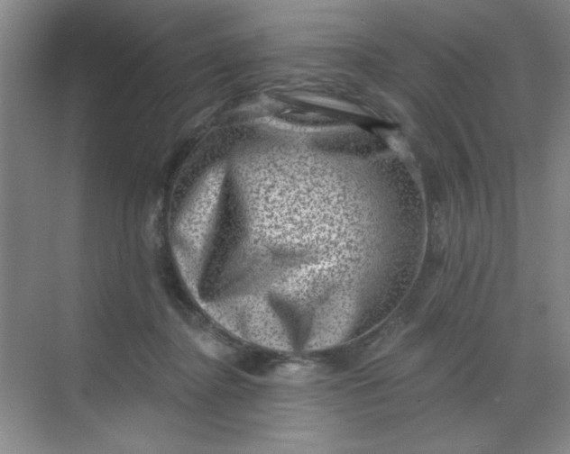 X0000068720364200605121458