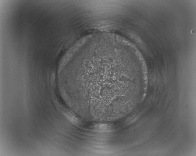 X0000068720365200605121458