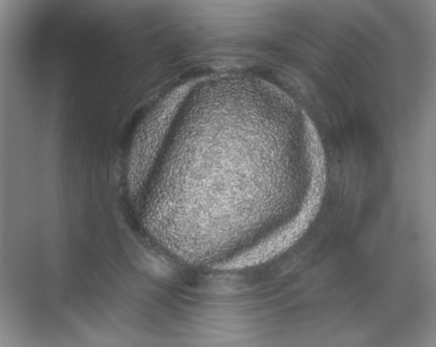 X0000068720367200605121458