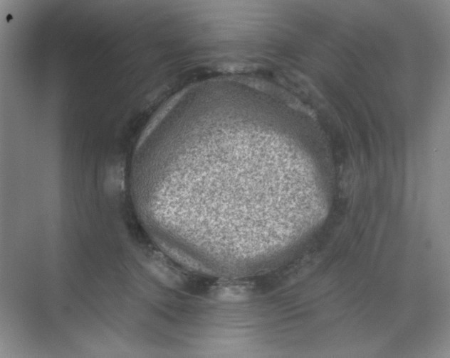 X0000068720368200605121458