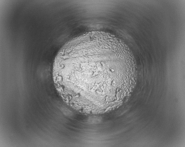 X0000068720369200605121458