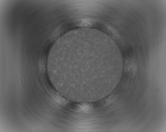 X0000068720370200605121458