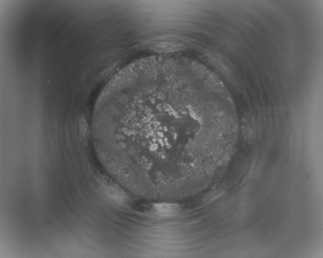 X0000068720371200605121458