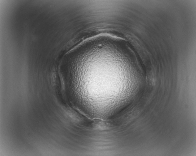 X0000068720372200605121458