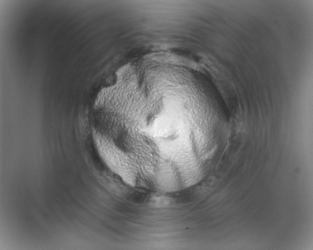 X0000068720376200605121458