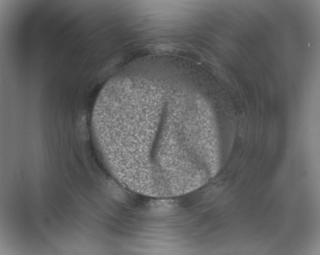 X0000068720378200605121458