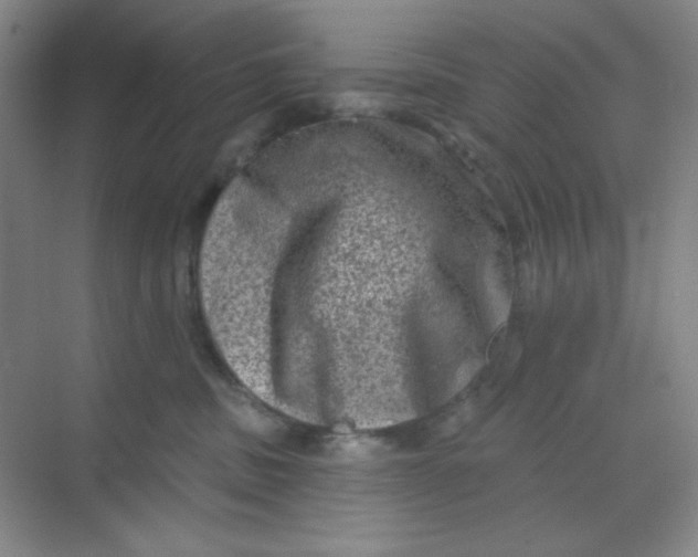 X0000068720379200605121458