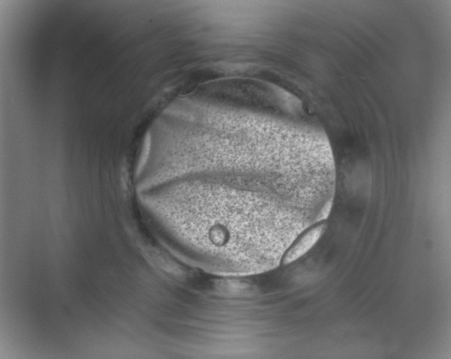 X0000068720380200605121458