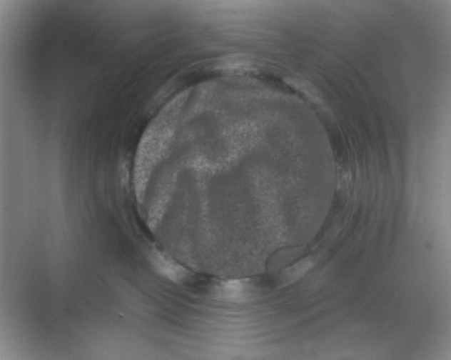 X0000068720382200605121458