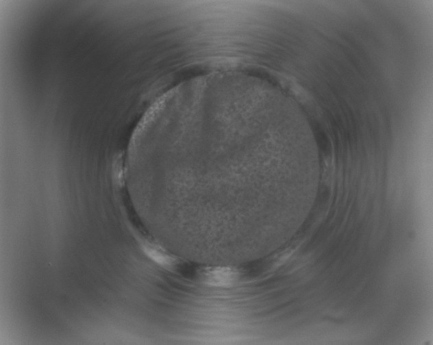 X0000068720383200605121458