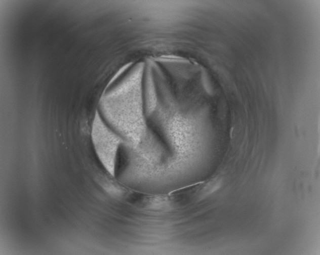 X0000068720384200605121458