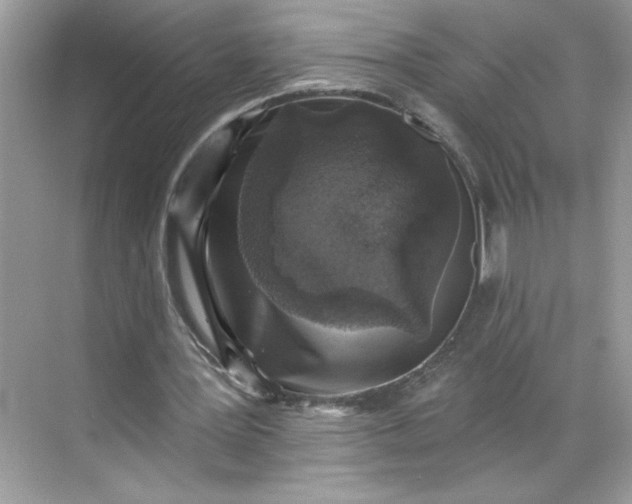 X0000068720387200605121458