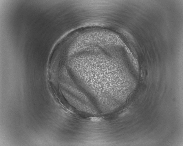 X0000068720388200605121458