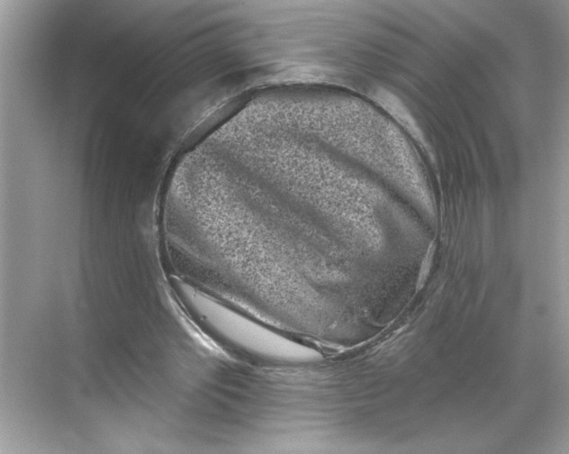 X0000068720389200605121457