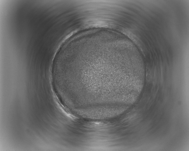 X0000068720390200605121457