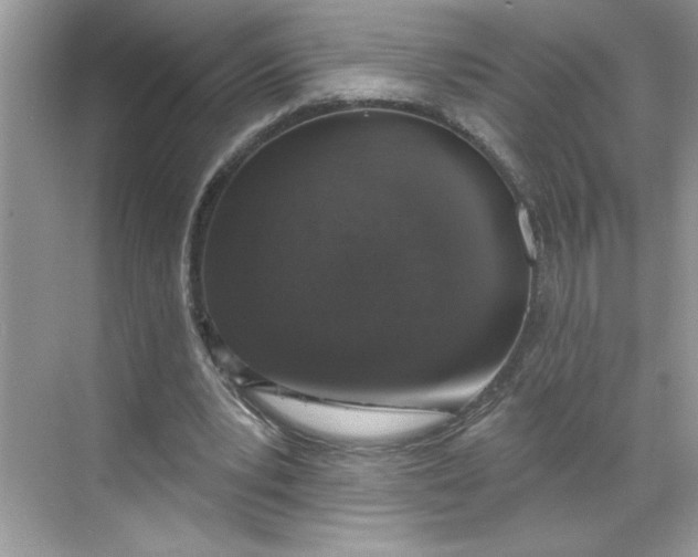 X0000068720391200605121457