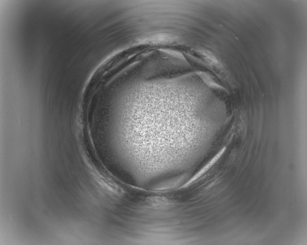 X0000068720392200605121457