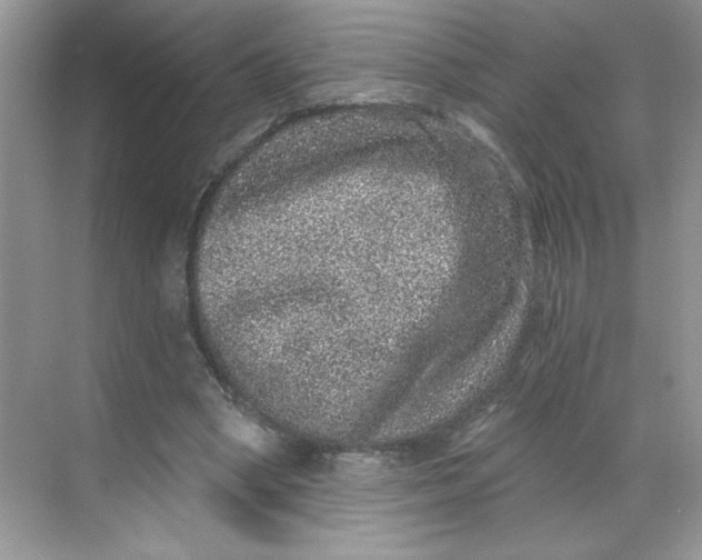 X0000068720394200605121457