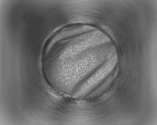 X0000068720395200605121457