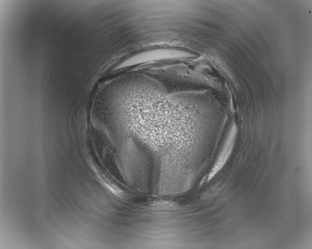 X0000068720397200605121457