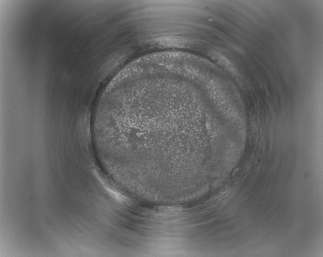 X0000068720398200605121457