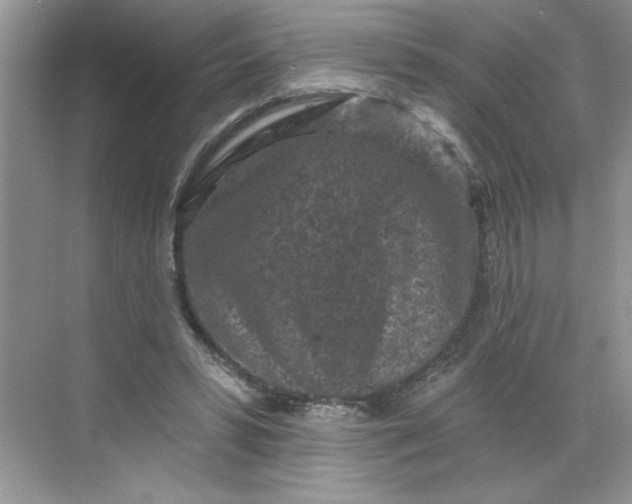 X0000068720399200605121457