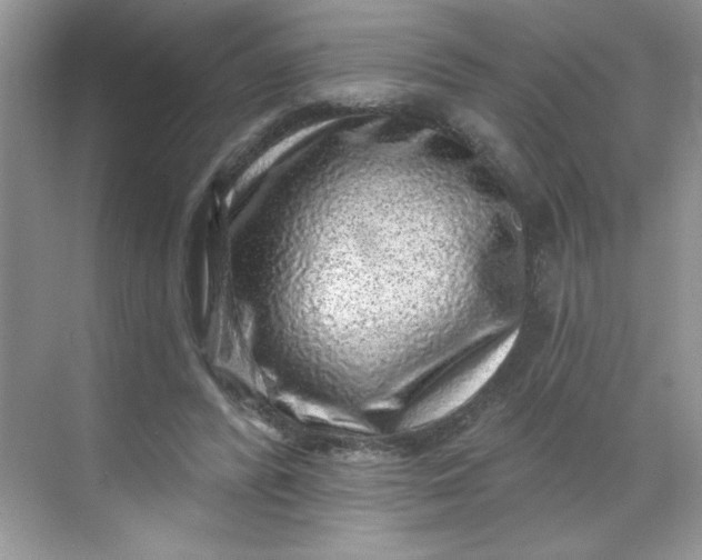 X0000068720400200605121457